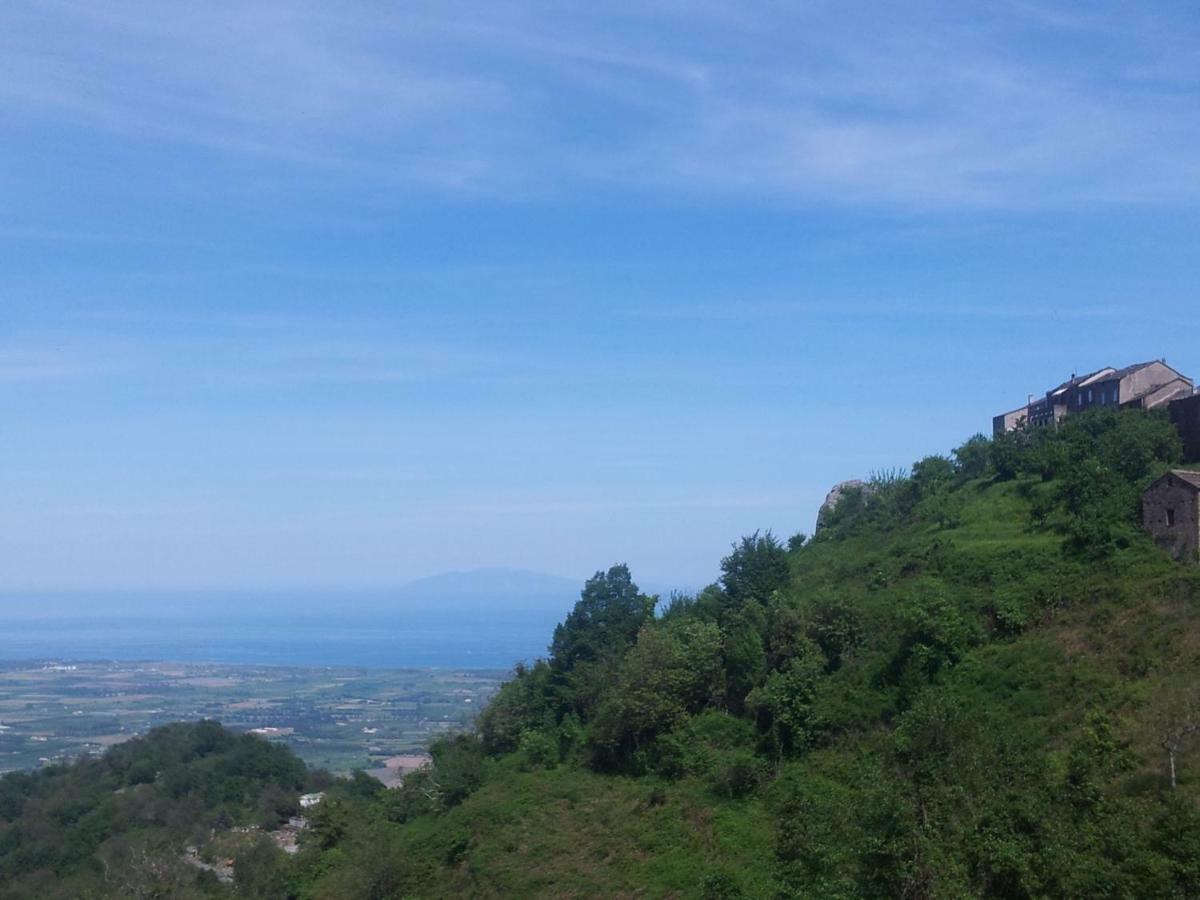 Gite La Fontaine Corse Loreto-di-Casinca Luaran gambar